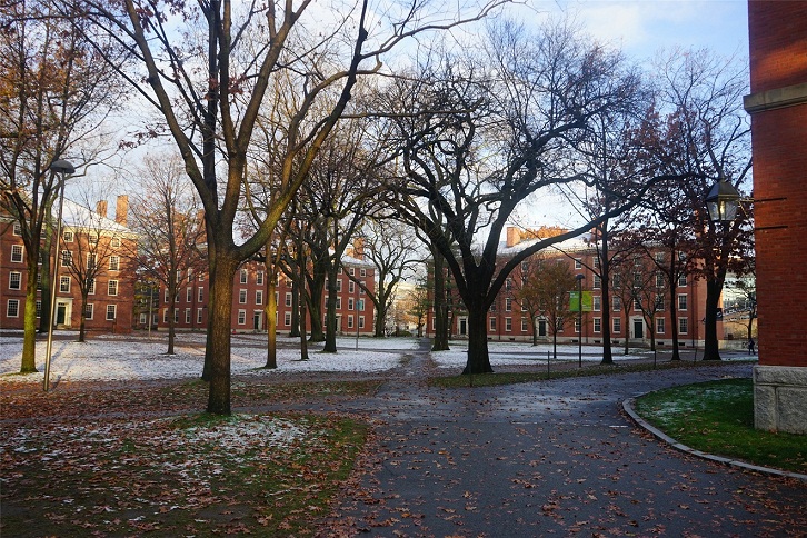 哈佛大学图片